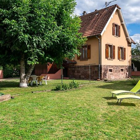 La Maison De Vacances De Colmar Et Son Jardin Dış mekan fotoğraf