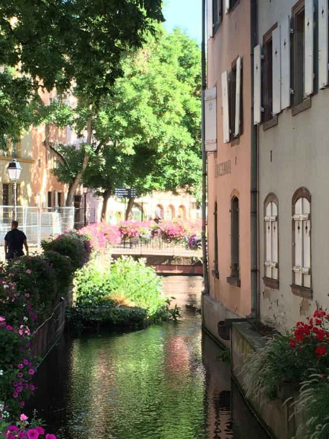 La Maison De Vacances De Colmar Et Son Jardin Dış mekan fotoğraf