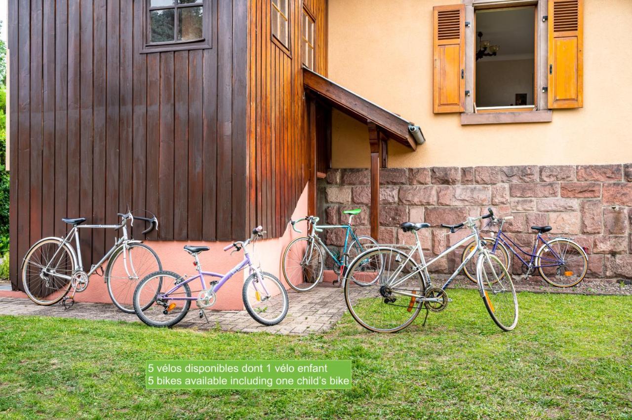 La Maison De Vacances De Colmar Et Son Jardin Dış mekan fotoğraf